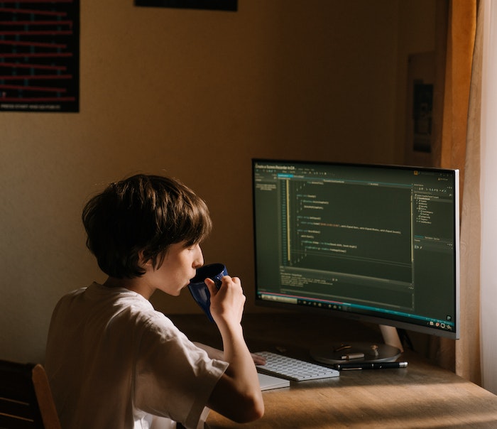 Website Stylers team in Siliguri and Delhi